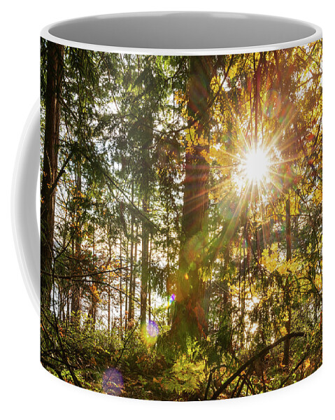Fall; Autumn; Color; Trees; Forest; Sun; Ray Of Sunshine; Trail; Chuckanut Drive; Washington; Pnw; Pacific North West Coffee Mug featuring the digital art Sunshine at Whatcom County by Michael Lee