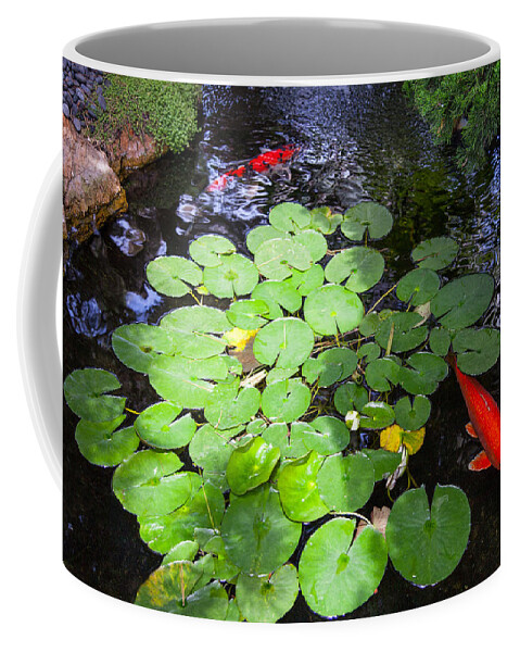  Coffee Mug featuring the photograph Koi Pond Reflection by Catherine Walters