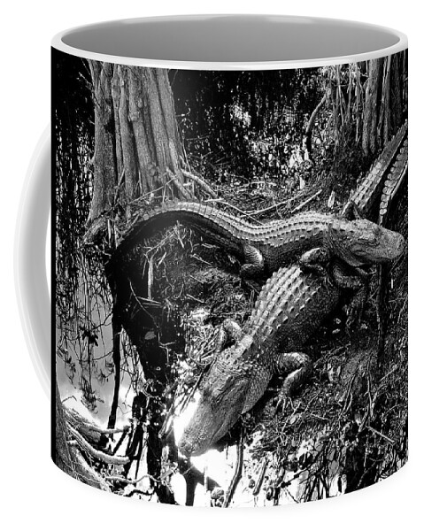 Alligators Swamp Everglades Coffee Mug featuring the photograph Swamp Critters by Neil Pankler