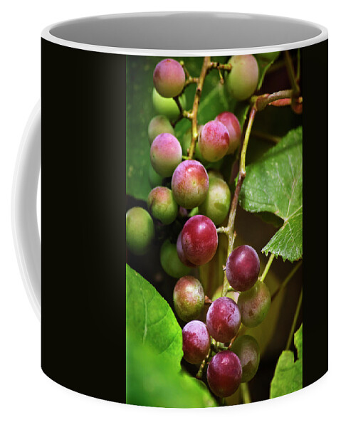Grapes Coffee Mug featuring the photograph Sweet Grapes by Christina Rollo