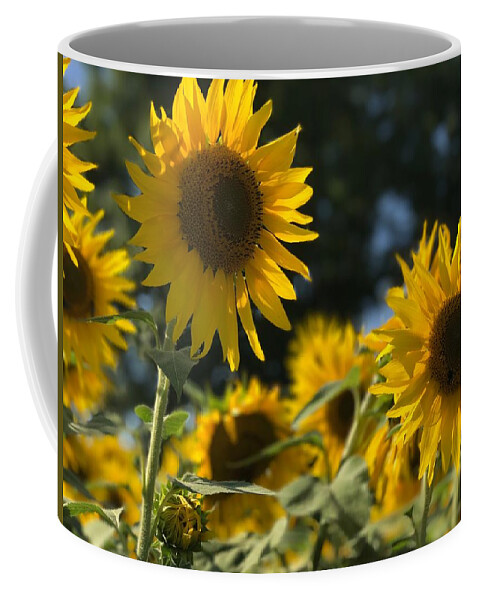 Sunflowers Coffee Mug featuring the photograph Sweet Sunflowers by Lora J Wilson