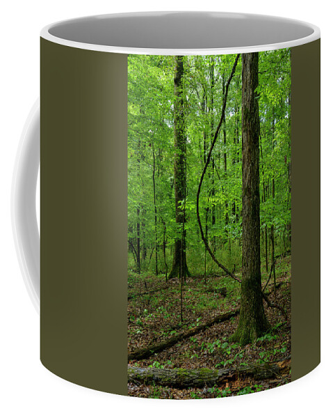 Landscape Coffee Mug featuring the photograph Swinging Liana by James Covello