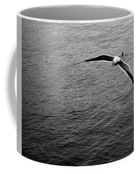 Film. Seagull Coffee Mug featuring the photograph Swooping in by Lora Lee Chapman