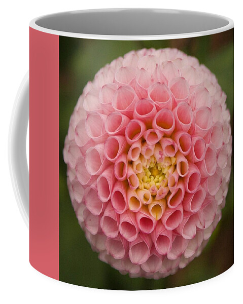 Symmetry Coffee Mug featuring the photograph Symmetrical Dahlia by Brian Eberly