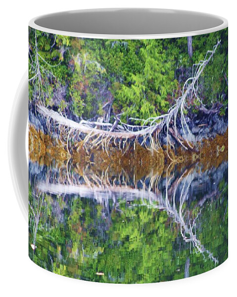Reflection Coffee Mug featuring the photograph Symmetry by Fred Bailey