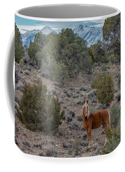  Coffee Mug featuring the photograph Chase #1 by John T Humphrey