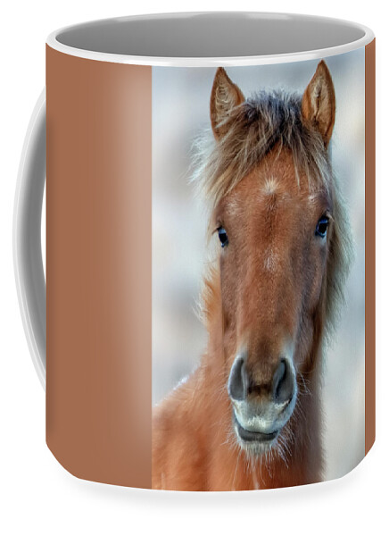 Emmie Coffee Mug featuring the photograph Emmie by John T Humphrey
