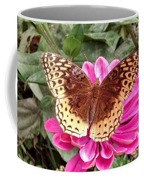 Butterfly Coffee Mug featuring the photograph Taking A Moment To Rest by Allen Nice-Webb