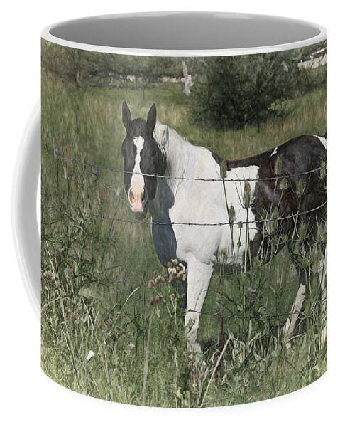 Horse Coffee Mug featuring the photograph Talk To Me by Donna Kennedy