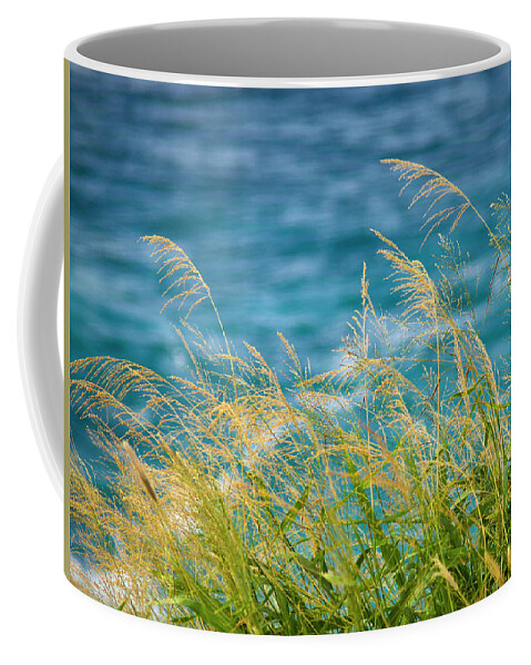 Ocean Coffee Mug featuring the photograph Tall Grass Against a Blue Ocean by Christopher Johnson