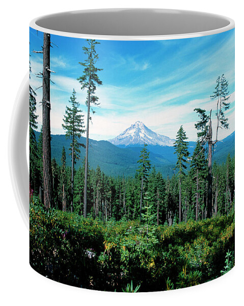 https://render.fineartamerica.com/images/rendered/default/frontright/mug/images/artworkimages/medium/2/tall-pine-trees-with-mountain-in-background-mount-hood-oregon-oreg305-00103-kevin-russell.jpg?&targetx=147&targety=0&imagewidth=505&imageheight=333&modelwidth=800&modelheight=333&backgroundcolor=020603&orientation=0&producttype=coffeemug-11