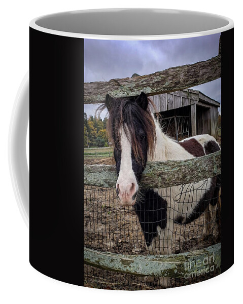 Pony Coffee Mug featuring the photograph Tendercrop Pony by Mary Capriole