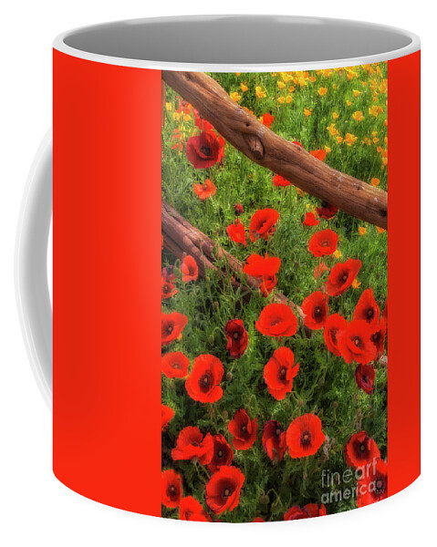 Wildflowers Coffee Mug featuring the photograph Texas Hill Country Wildflowers by Priscilla Burgers