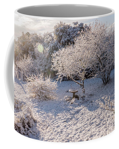 Snow Coffee Mug featuring the photograph Texas Snow Morning by Ivars Vilums