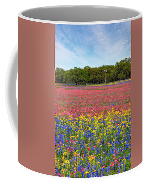 Wildflowers Coffee Mug featuring the photograph Texas Wildflower Afternoon 31719-3 by Rob Greebon