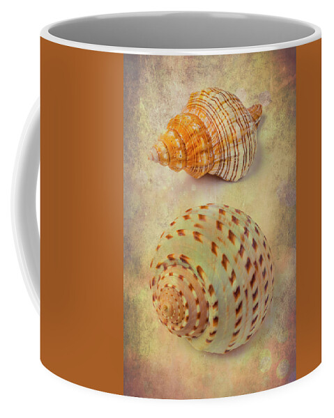 White Coffee Mug featuring the photograph Textured Marine Shells Abstract by Garry Gay