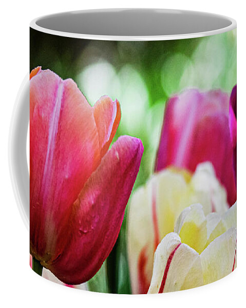 Tulips Coffee Mug featuring the photograph The Colors of Spring by Mary Ann Artz