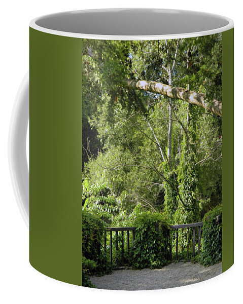 The Covered Balcony Coffee Mug featuring the photograph The Covered Balcony by Cyryn Fyrcyd