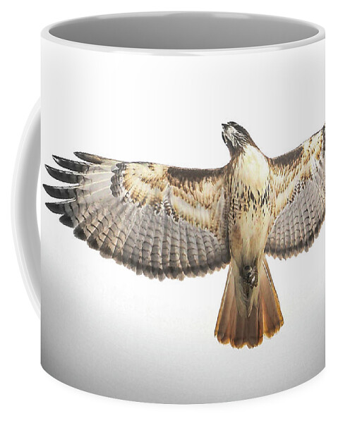 The Coffee Mug featuring the photograph The Crucifixion by Brian Gustafson