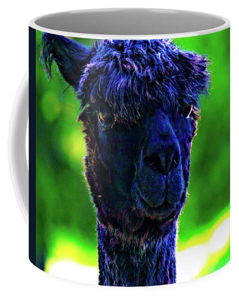 Alpaca Coffee Mug featuring the photograph The Darkest Alpaca by Jonny D
