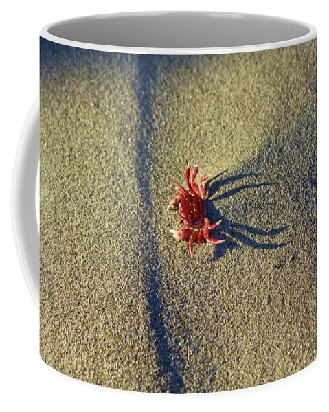 Crab Coffee Mug featuring the photograph The end by Fred Bailey