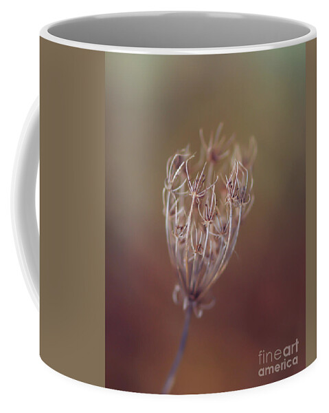 Queen Anne's Lace Coffee Mug featuring the photograph The Exquisite Handiwork of Nature by Kerri Farley