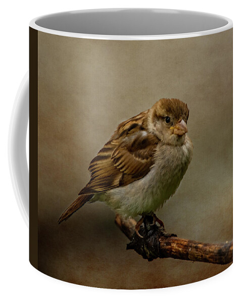 Bird Coffee Mug featuring the photograph The Fledgeling by Cathy Kovarik