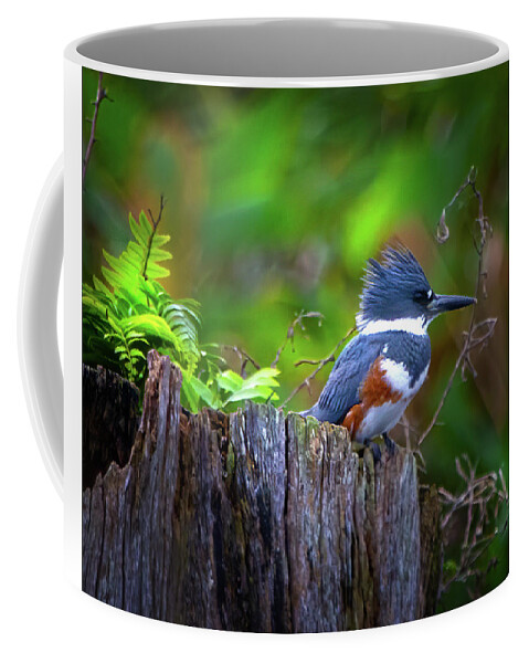 Kingfisher Coffee Mug featuring the photograph The Kingfisher by Mark Andrew Thomas