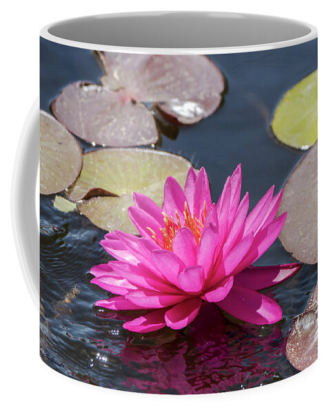 Flower Coffee Mug featuring the photograph The lady is pink by Arik Baltinester