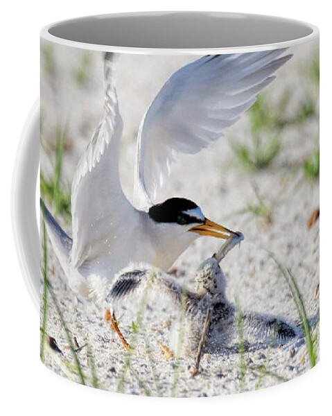 Bird Coffee Mug featuring the photograph The Littlest Thief 1 by Susan Rissi Tregoning