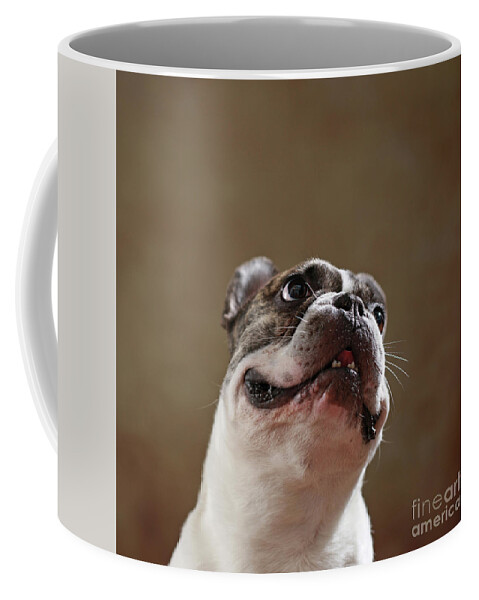 Look Coffee Mug featuring the photograph The Look by Jana Behr