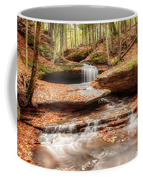Waterfall Coffee Mug featuring the photograph The Magical Dells at Houghton Falls by Susan Rissi Tregoning