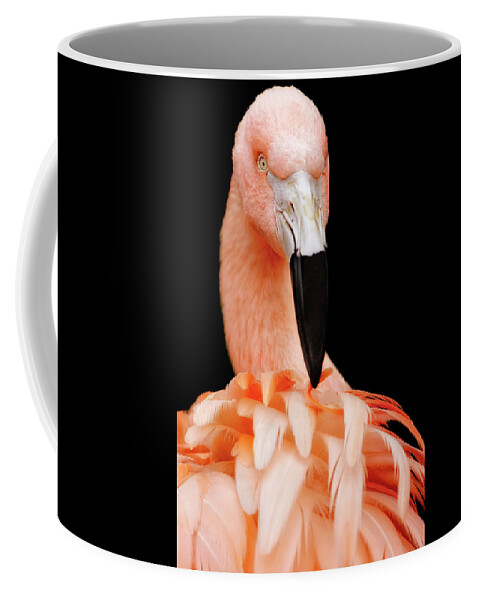 Pink Flamingo Coffee Mug featuring the photograph The Magnificent Pink Flamingo - Bird Portrait by Jason Politte