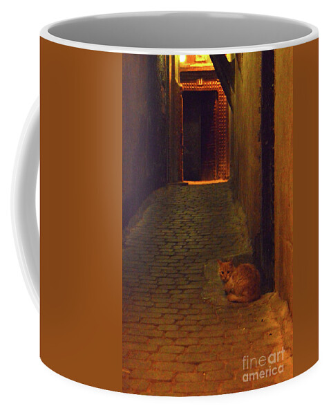 Cat Coffee Mug featuring the photograph The night gatekeeper of Fez by Yavor Mihaylov