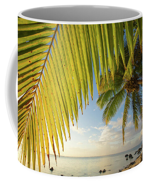 Palm Frond Coffee Mug featuring the photograph The Palm Curtain by Becqi Sherman