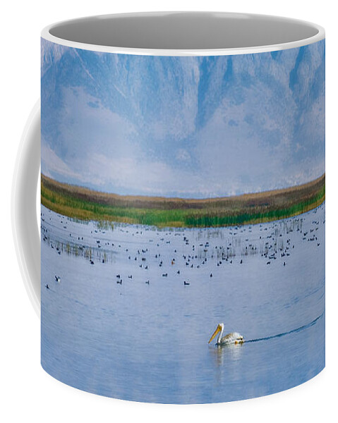 Pelican Coffee Mug featuring the photograph The Pelican by Kate Hannon