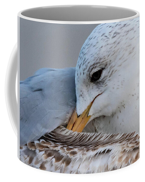 Bird Coffee Mug featuring the photograph The Quiet Moments by Jody Partin