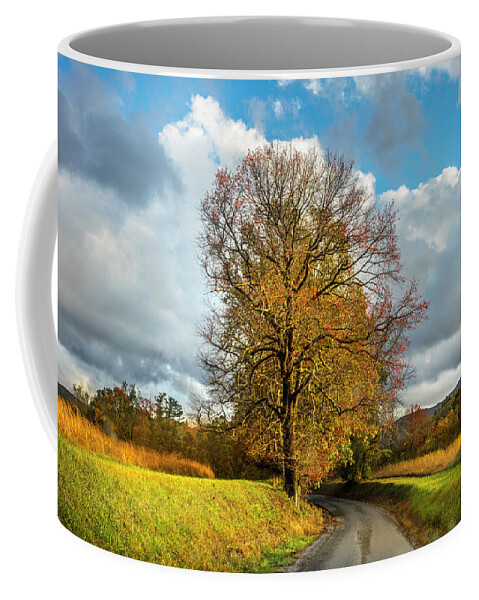 Appalachia Coffee Mug featuring the photograph The Road to Autumn by Debra and Dave Vanderlaan