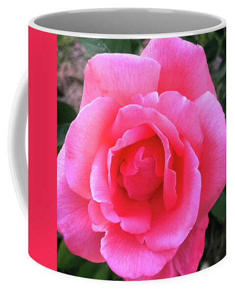Nature Coffee Mug featuring the photograph The Rose by Kelly Thackeray