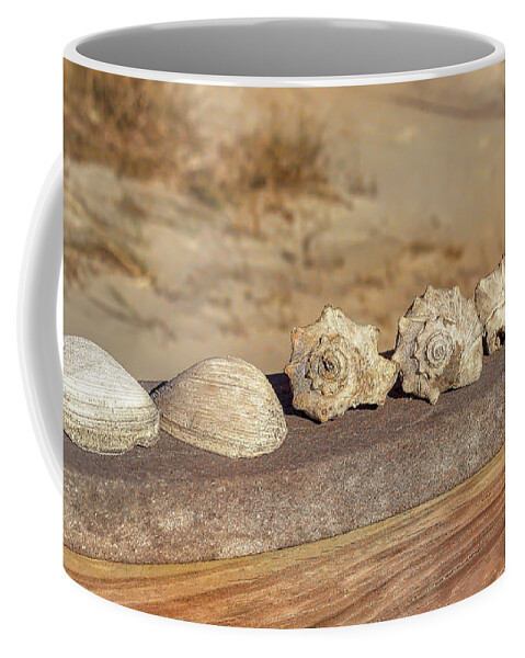 Beach Coffee Mug featuring the photograph The Shell Collection by Kathy Baccari