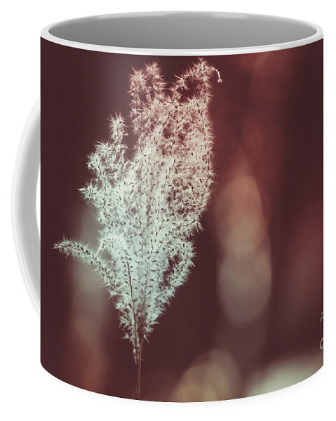 Color Coffee Mug featuring the photograph The Shine by Dheeraj Mutha