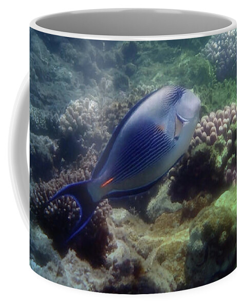 Underwater Coffee Mug featuring the photograph The Sohal Surgeonfish And Corals Colorfully by Johanna Hurmerinta