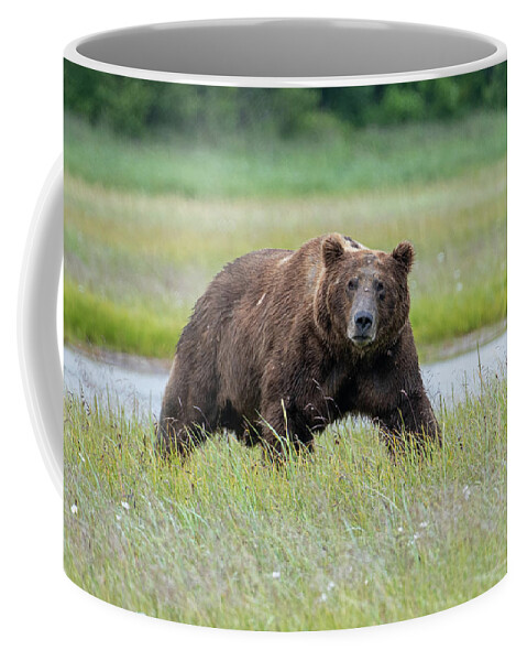 Bear Coffee Mug featuring the photograph The Stare by Mark Hunter