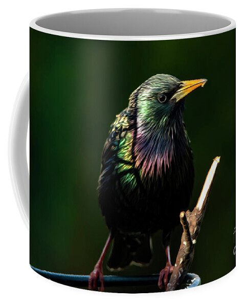 Starling Coffee Mug featuring the photograph The Starling Bird Painting by Sandra J's