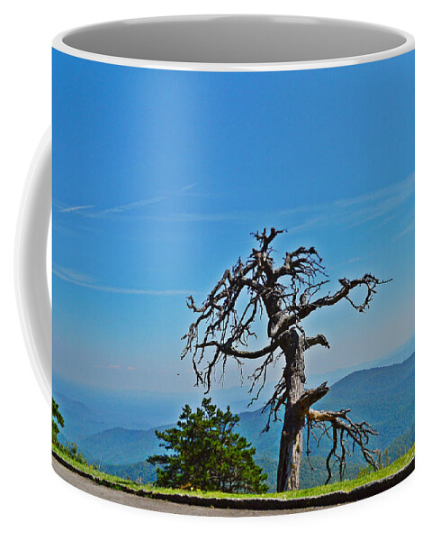Dead Tree Coffee Mug featuring the photograph The Survivor by Stacie Siemsen