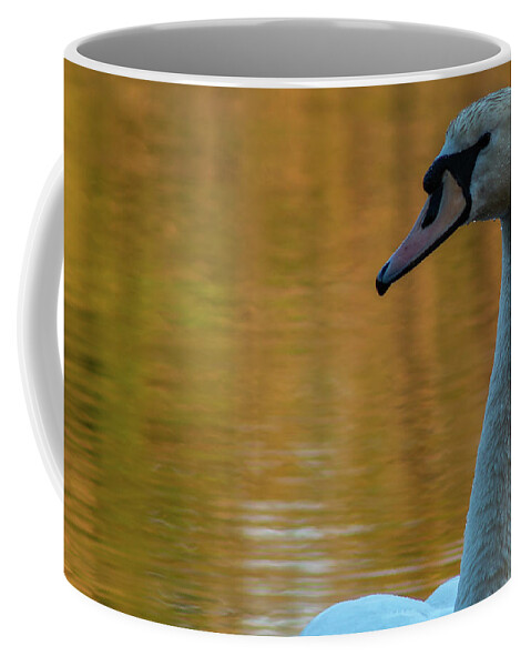 Wildlife Coffee Mug featuring the photograph The Swan by William Bretton