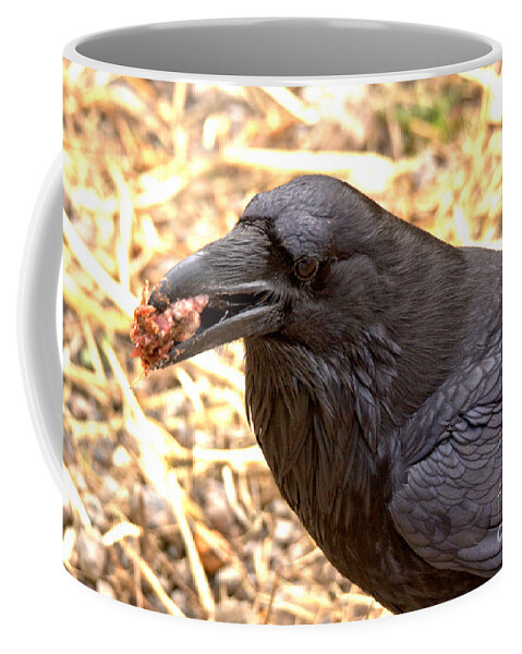 Raven Coffee Mug featuring the photograph The Ultimate Scavenger by Adam Jewell