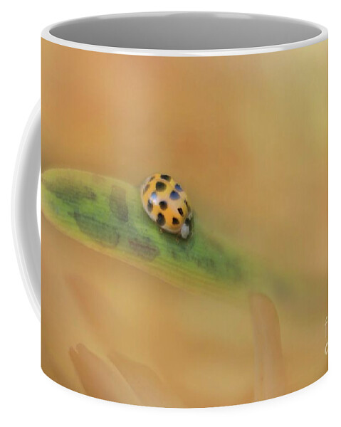 Black And Yellow Lady Bugs Coffee Mug featuring the photograph The Voyage of Discovery by Mary Lou Chmura