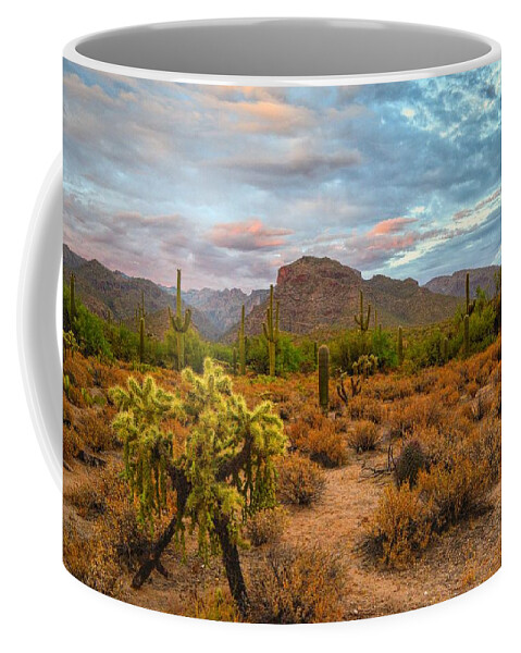 Thimble Peak Coffee Mug featuring the photograph Thimble Peak and Cholla from Sabino Canyon, Tucson by Chance Kafka