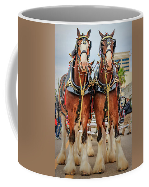 Budweiserclydesdales Coffee Mug featuring the photograph This Buds For You by JASawyer Imaging
